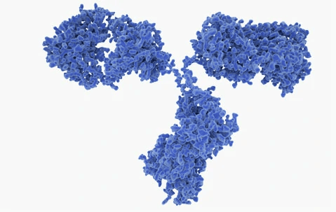 Flow Cytometry Antibodies logo