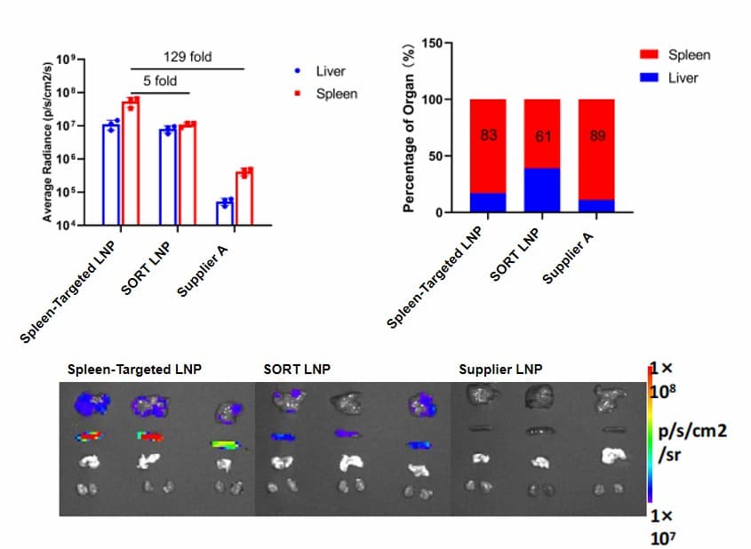 Extrahepatic RNA Delivery logo